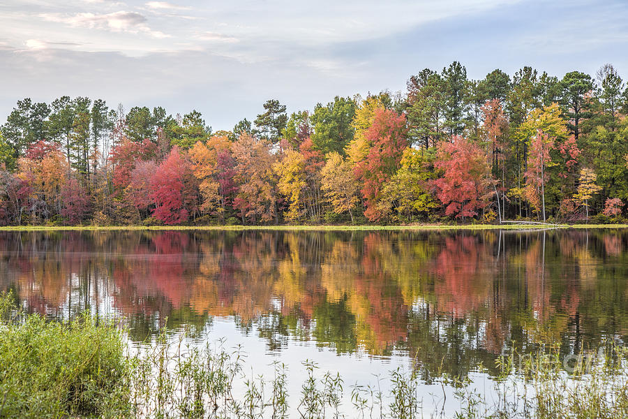 Fall Reflections on Lake Chesdin Photograph by Jemmy Archer
