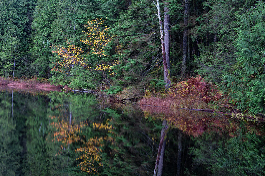 Fall Reflections on Mill Pond Photograph by Michael Russell