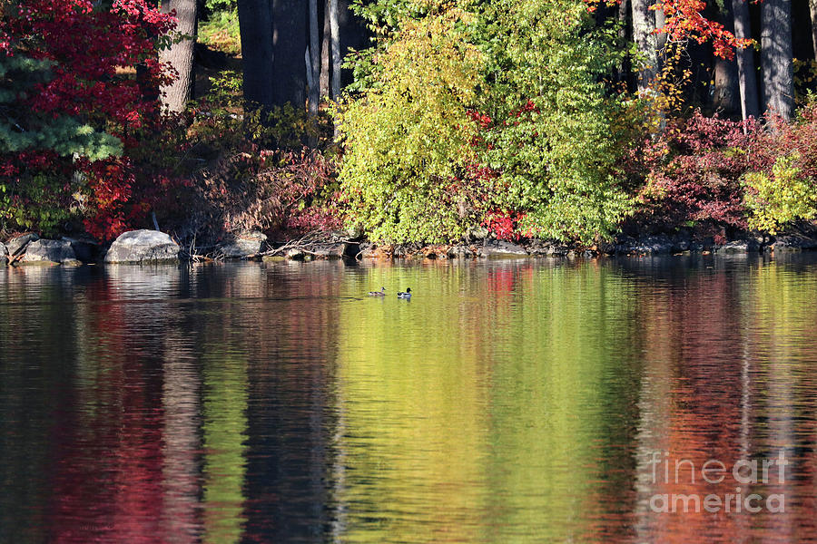 Fall Reflections On Woodbury Pond, Maine Photograph by Sandra Huston