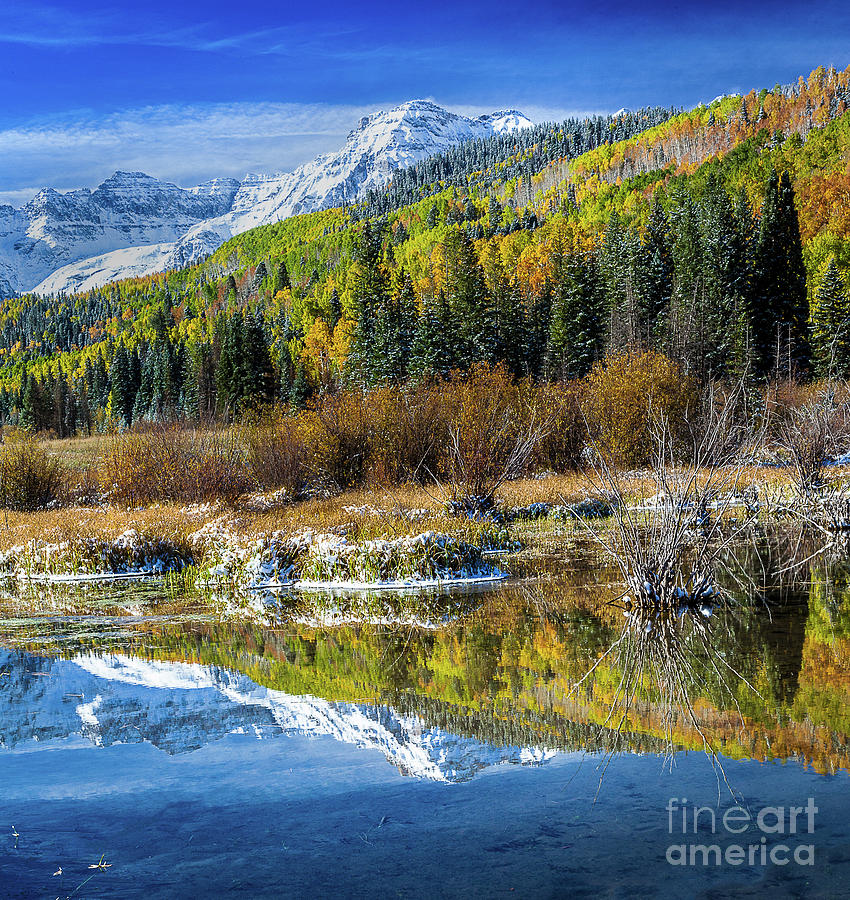 Fall Photograph - Fall Reflections by Steven Reed