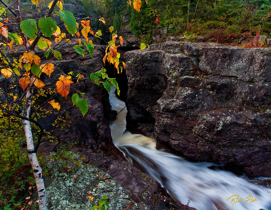 Fall Photograph - Fall Remnants at Temperance by Rikk Flohr