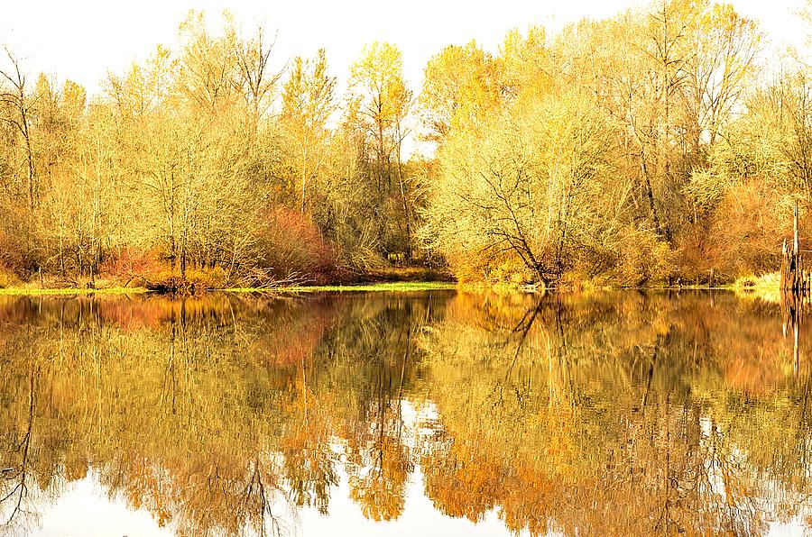 Fall River Reflection Photograph by Michael Ramsey