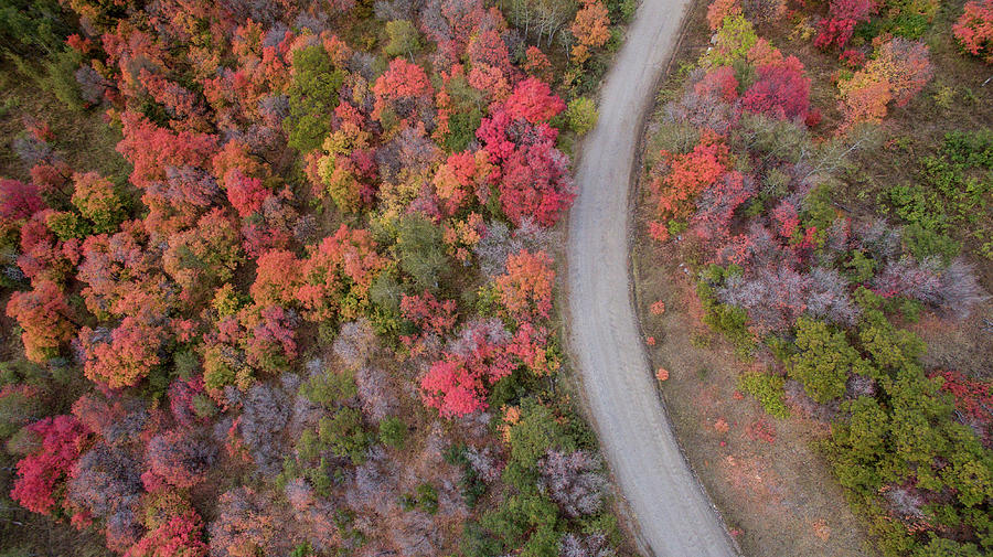 Fall Road Photograph by Wesley Aston