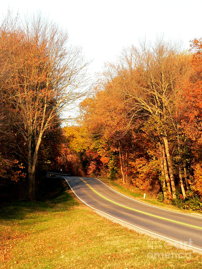 Fall Roading Photograph by David Bearden