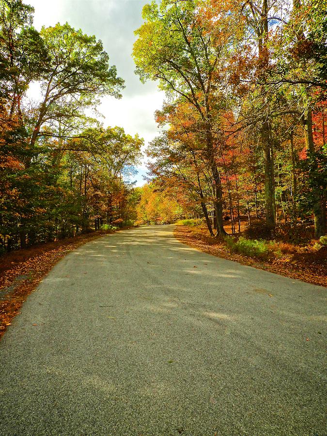 Fall Roads Photograph by Kathi Isserman