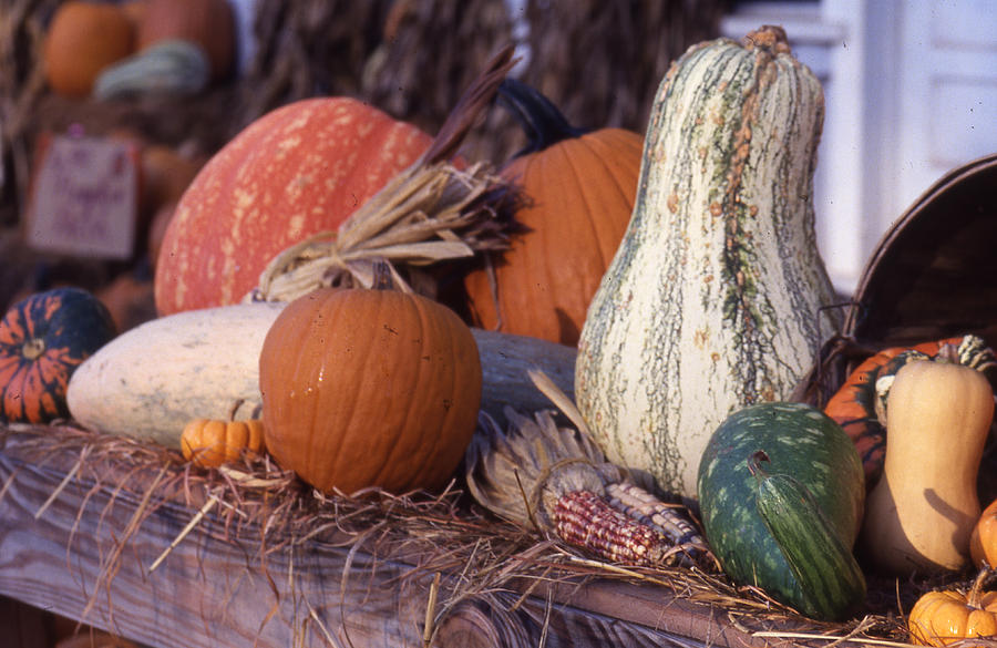 Fall-roadside-produce Photograph by Curtis J Neeley Jr