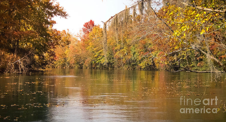 Augusta Photograph - Fall - Savannah River Canal  by Andrea Anderegg