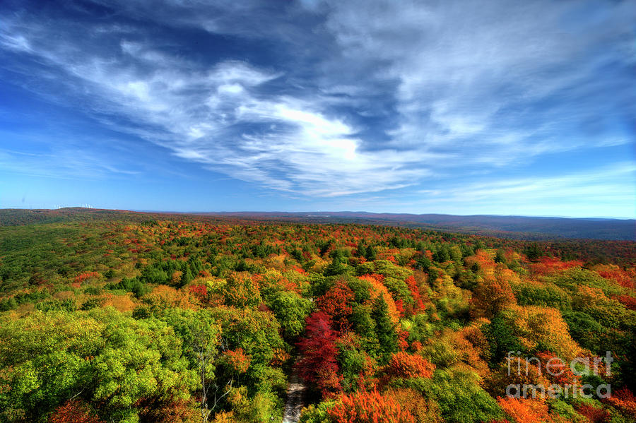 Fall scene top of mountain Photograph by Dan Friend