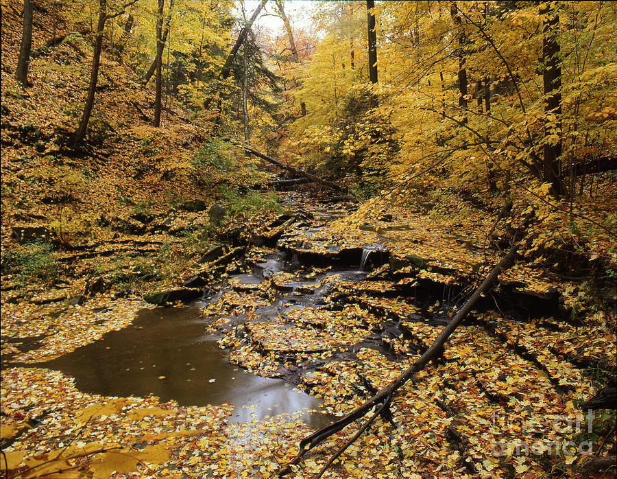 Fall Scenic Photograph by James Baron
