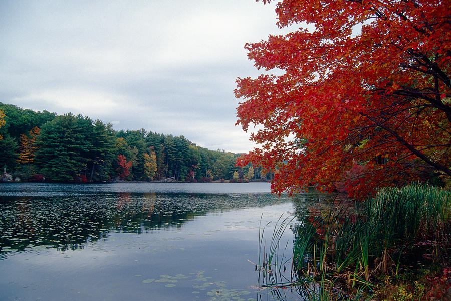 Nature Photograph - Fall Scenic Little Long Pond Harriman State Park New by George Oze