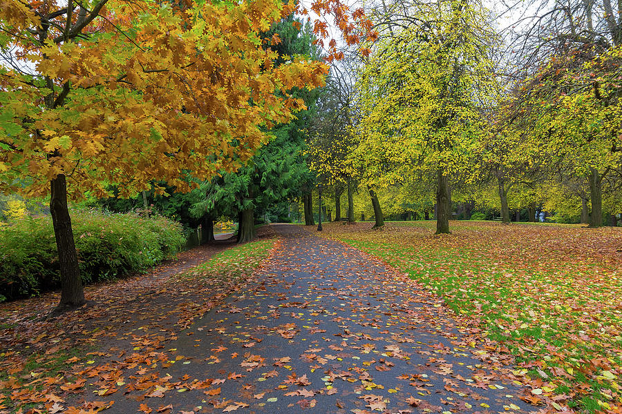 Fall Season at Laurelhurst Park in Portland Oregon Photograph by Jit Lim