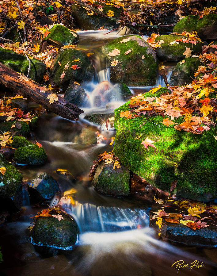 Fall Seasonal Water Cascade Photograph by Rikk Flohr