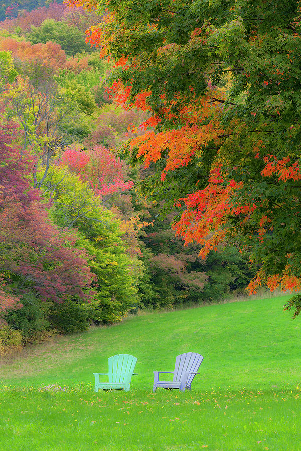 Fall Seating Photograph by Alan L Graham