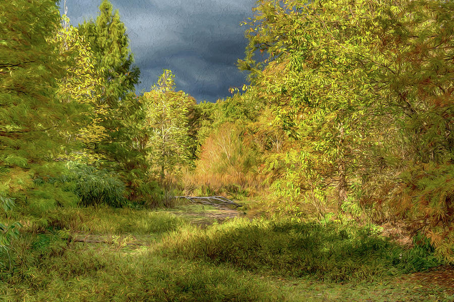 Fall Shaw Nature Reserve Photo Painting 7R2_DSC2644_10242017 Photograph by Greg Kluempers