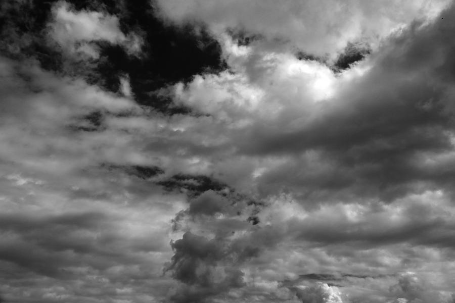 Fall Sky 7 BW Photograph by Mary Bedy