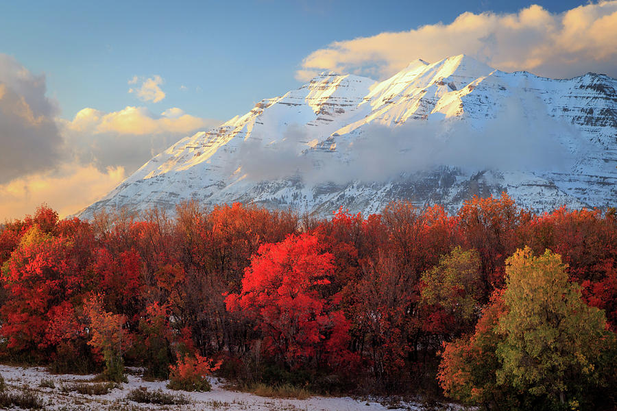 Fall Photograph - Fall snow on Timpanogos. by Wasatch Light