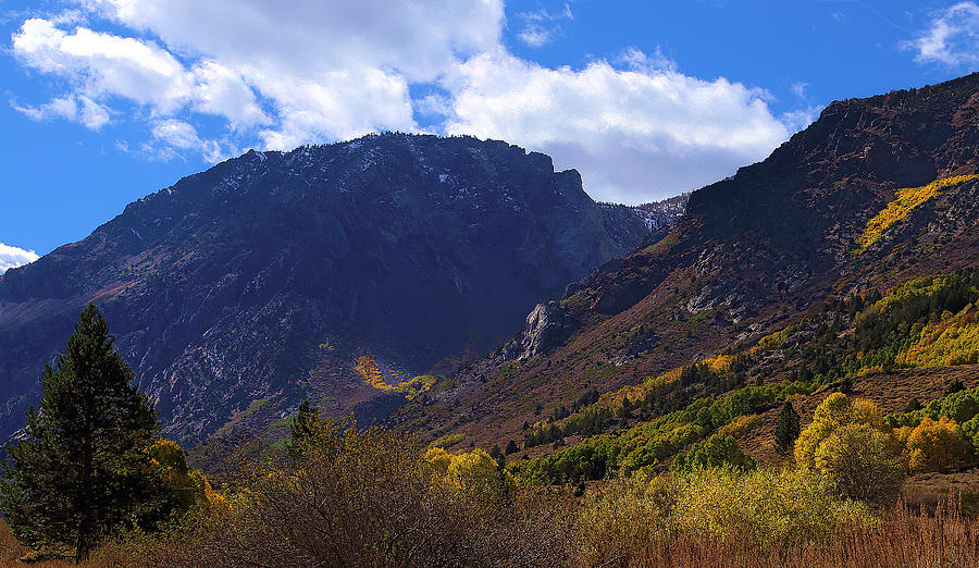 Fall Splendor In June Mountains Photograph by Viktor Savchenko