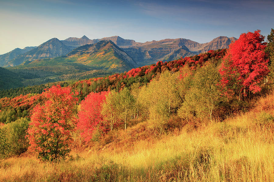 Autumn Photograph - Fall Splendor With Mount Timpanogos. by Johnny Adolphson Autumn Photograph - Fall Splendor With Mount Timpanogos. by Johnny Adolphson