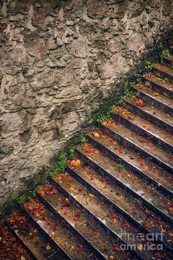 Fall Photograph - Fall Stairway by Carlos Caetano