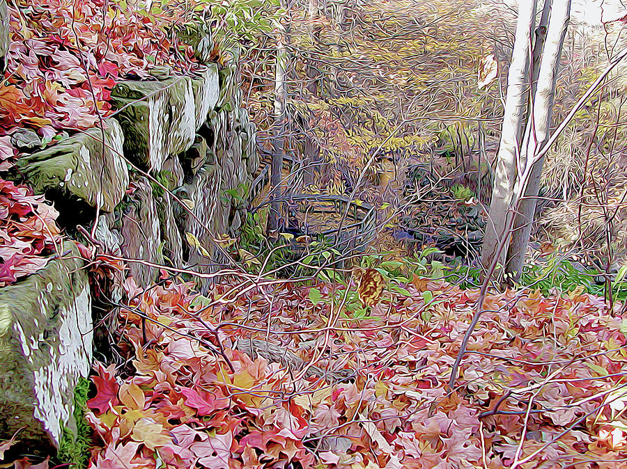 Fall Stone Wall Photograph by Linda Carruth