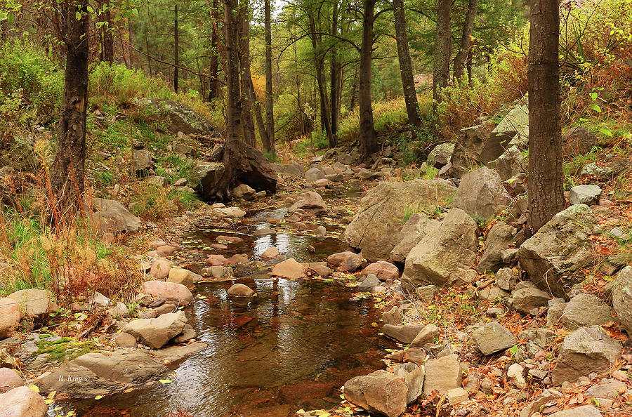 Fall Stream and Rocks by Roena King Fall Stream and Rocks by Roena King