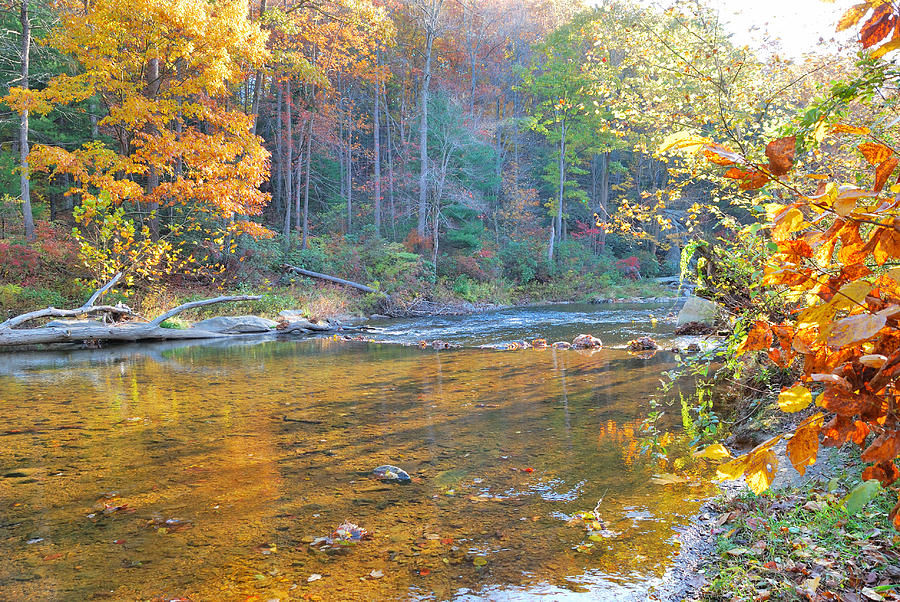 Fall Stream Photograph By Brian Williams - Fine Art America