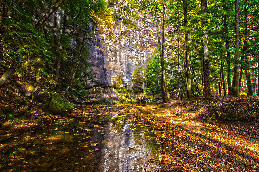 Fall Stream Photograph by Daniel Houghton