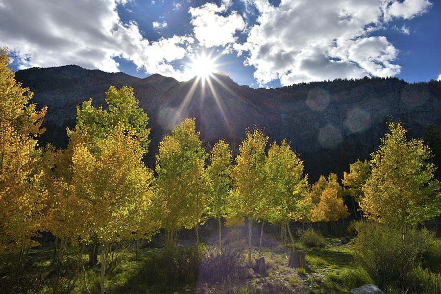 Fall Sun Setting Over Mt. Charleston Photograph by Ray Mathis
