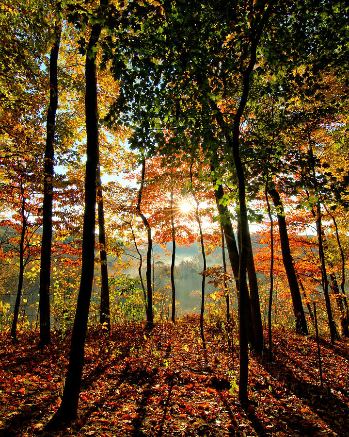 Fall Photograph - Fall Sunrise by Brian Wilson