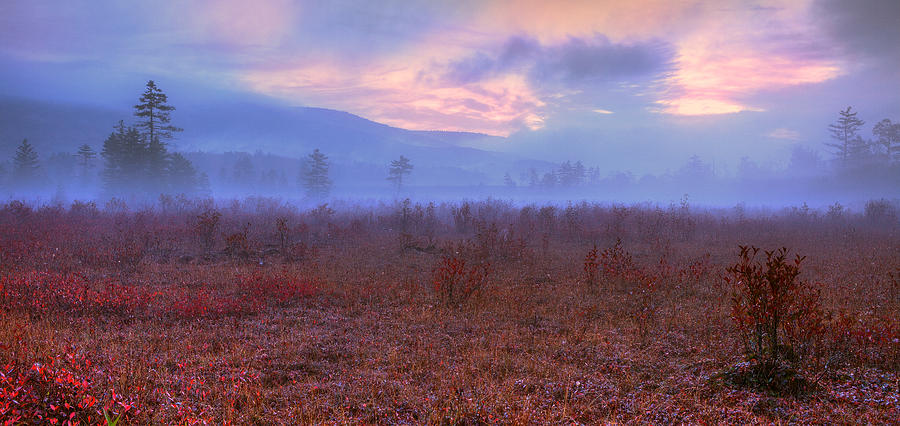 Fall Sunrise Cranberry Glades West Virginia I Photograph by Dan Carmichael