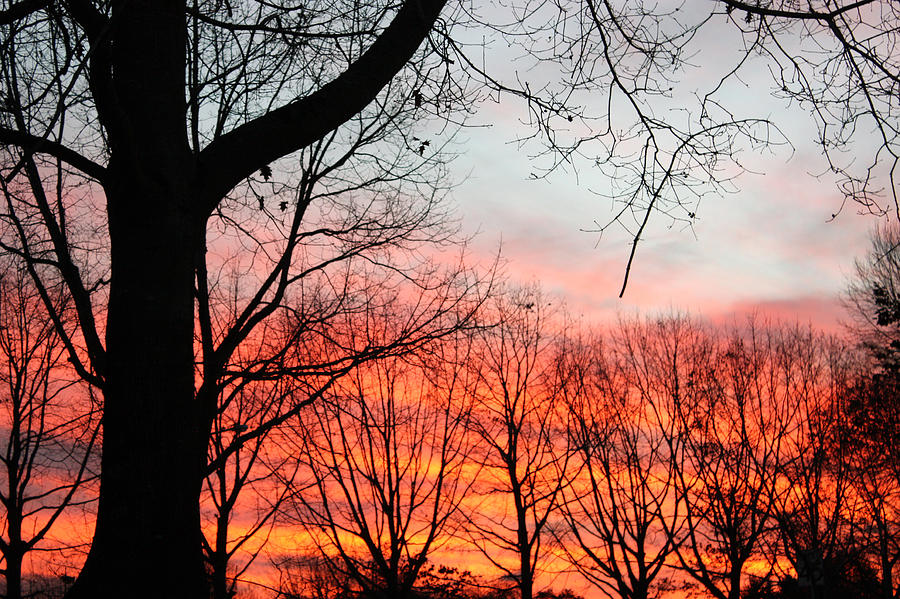 Fall Sunset Photograph by Nick Gustafson
