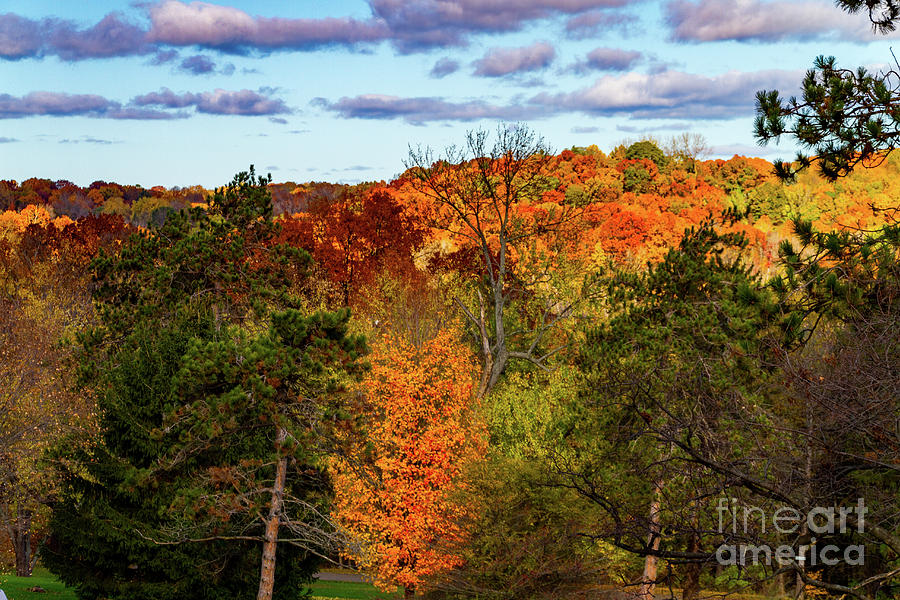Fall Takeover Photograph by William Norton