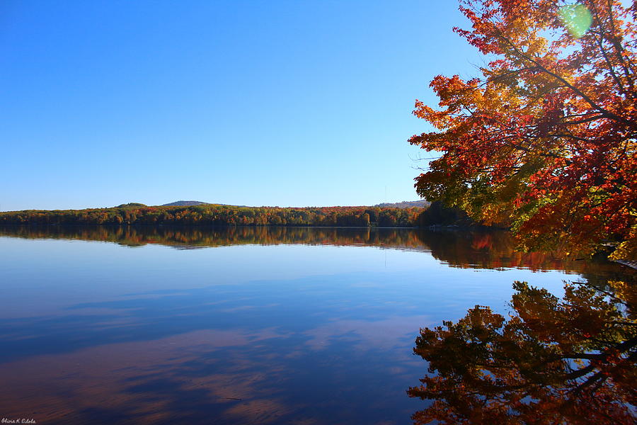 Fall Time in the Upper Peninsula Photograph by Olivia Eilola - Fine Art ...