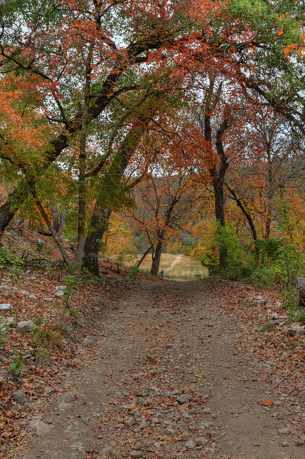 Fall Trail Photograph