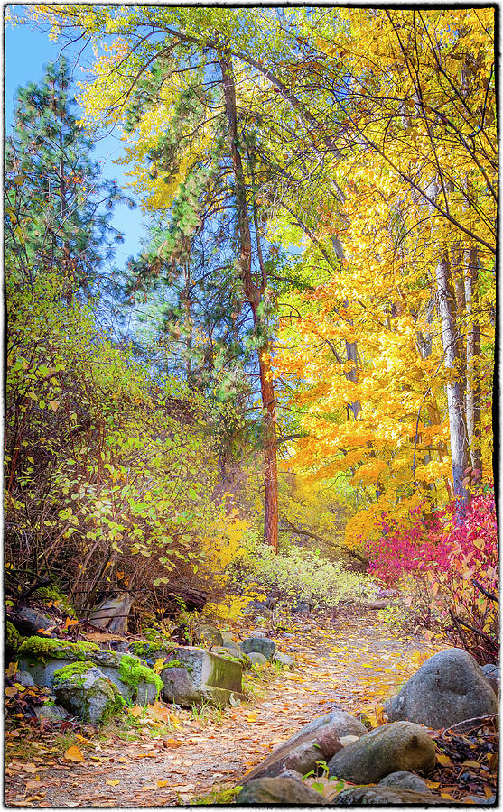 Fall Trail Photograph by Mike Steele | Fine Art America