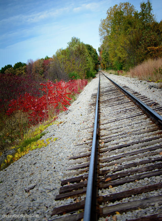 Fall Train Tracks Photograph by LeeAnn McLaneGoetz McLaneGoetzStudioLLCcom