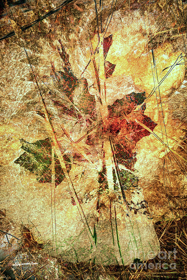 Fall Treasures Digital Art by Georgianne Giese