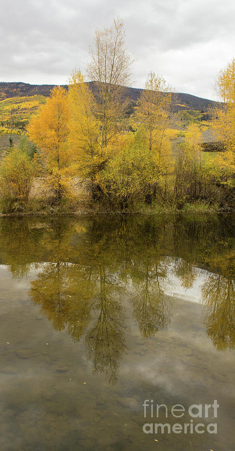 Fall Tree Reflections Photograph by Steven Parker