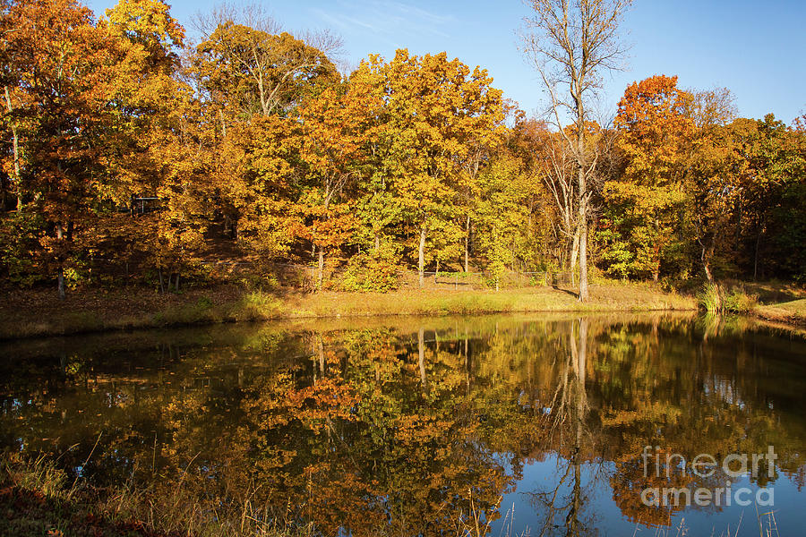 Fall Trees Around Pond Photograph by George Lehmann