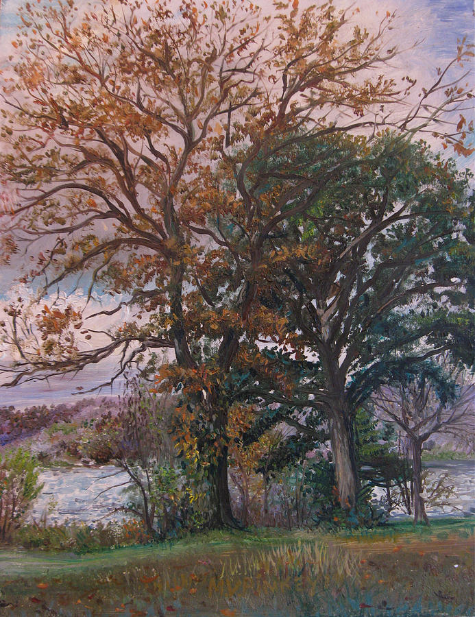 Tree Painting - Fall Trees in an Autumn Sunset by Matthew Pinkey