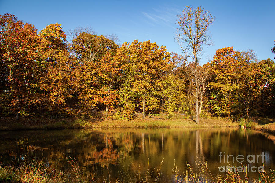 Fall Trees Reflection Photograph by George Lehmann