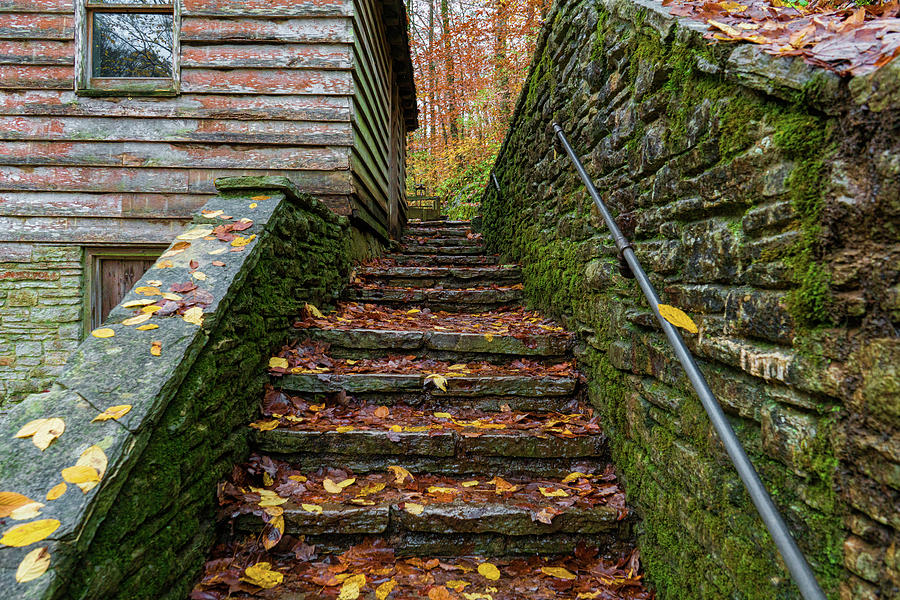 Fall Up Stairs Photograph by Sharon Popek