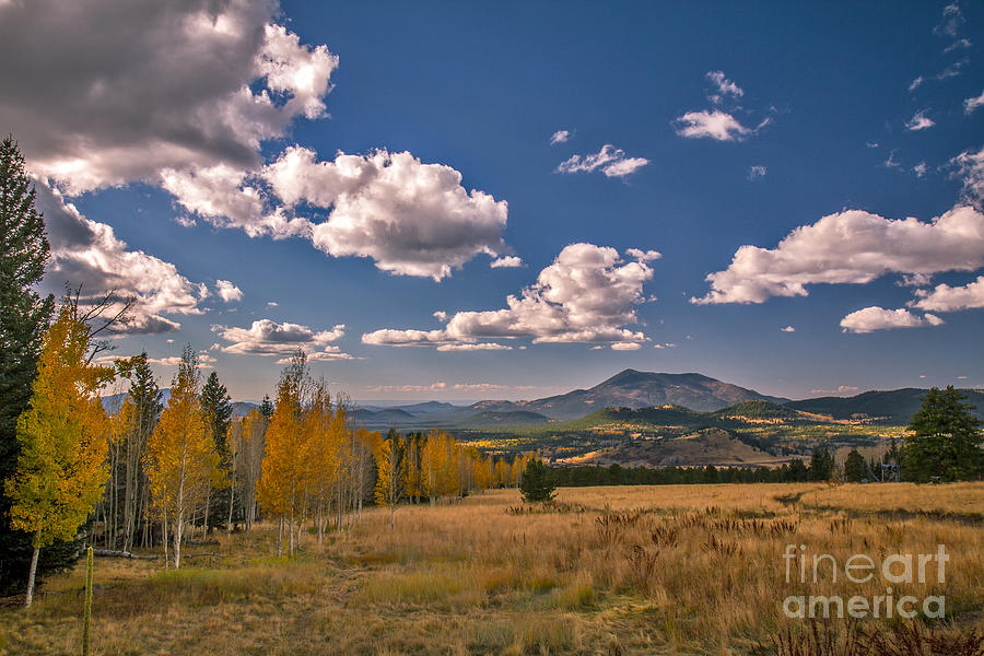 Fall View From Snowbowl Photograph by Robert Bales