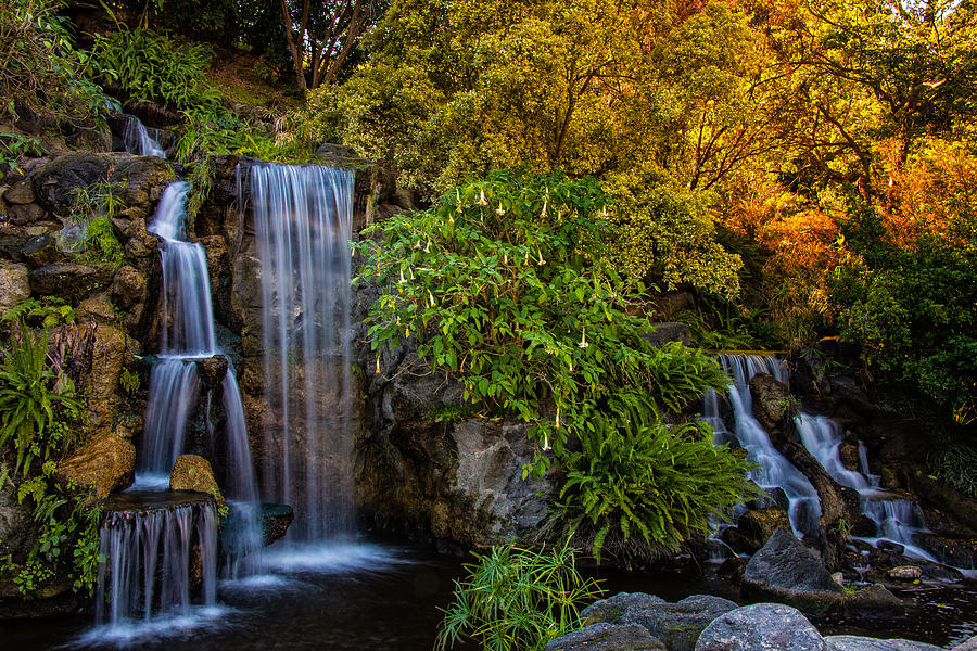 Fall Water Fall Photograph by Harry Spitz