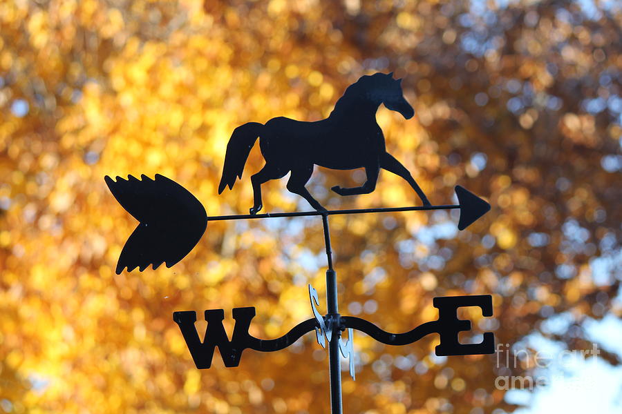 Fall Photograph - Fall Weather Vane by Sheri Simmons