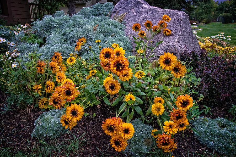 Fall Wildflowers in the Sierra Photograph by Lynn Bauer