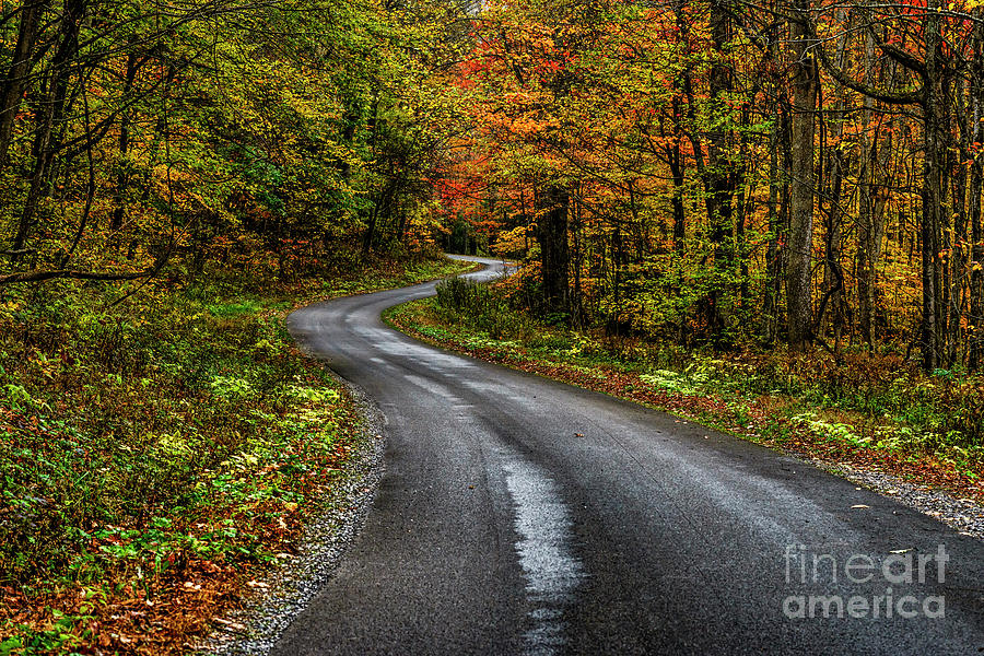 Fall Williams River Scenic Backway Photograph by Thomas R Fletcher