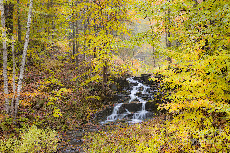 Fall Woodland Waterfall Photograph by Alan L Graham