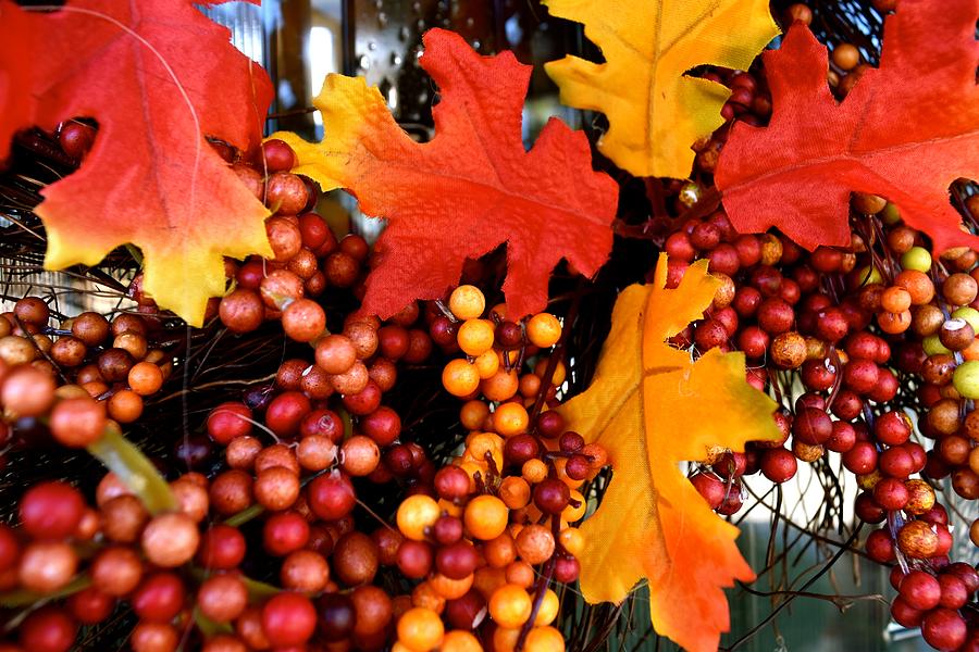 Fall Photograph - Fall Wreath by Bri Lou