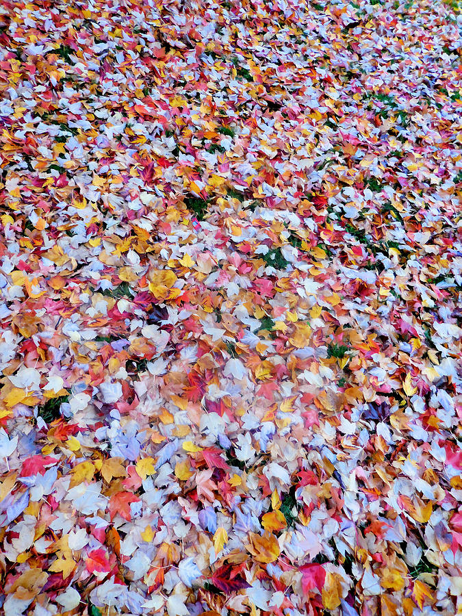 Fallen autumn leaves Painting by Jeelan Clark